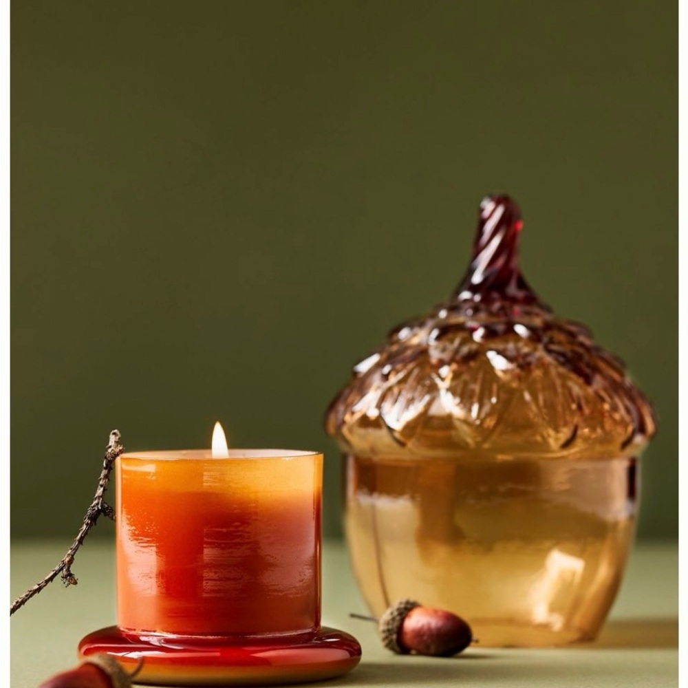 Anthropologie spice vanilla clove Amber Glass Acorn Jar and Candle Set